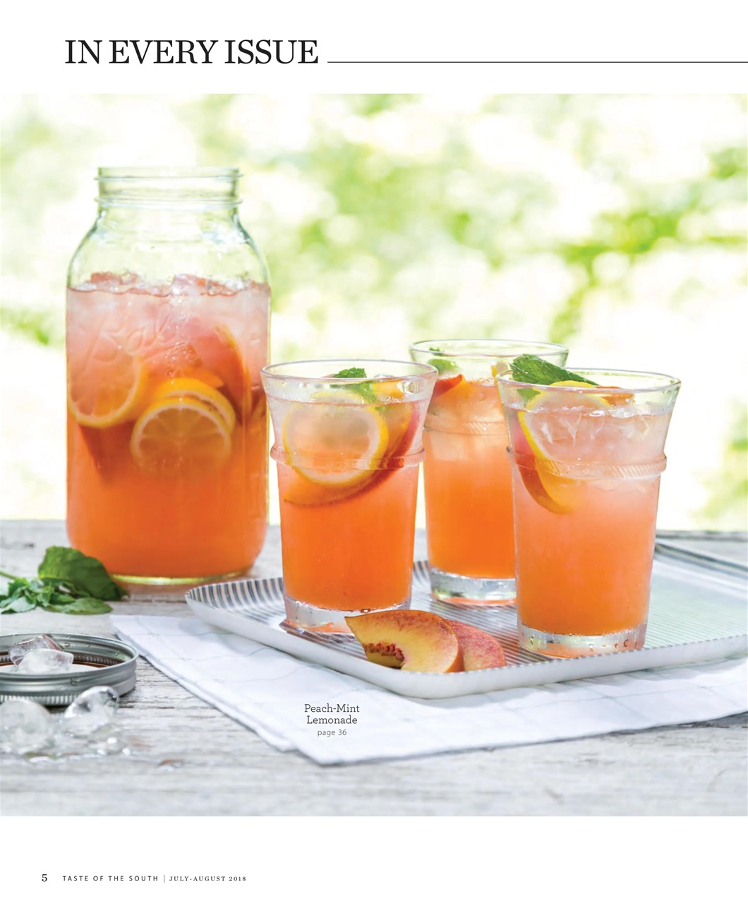 Taste of the South Preview Pages