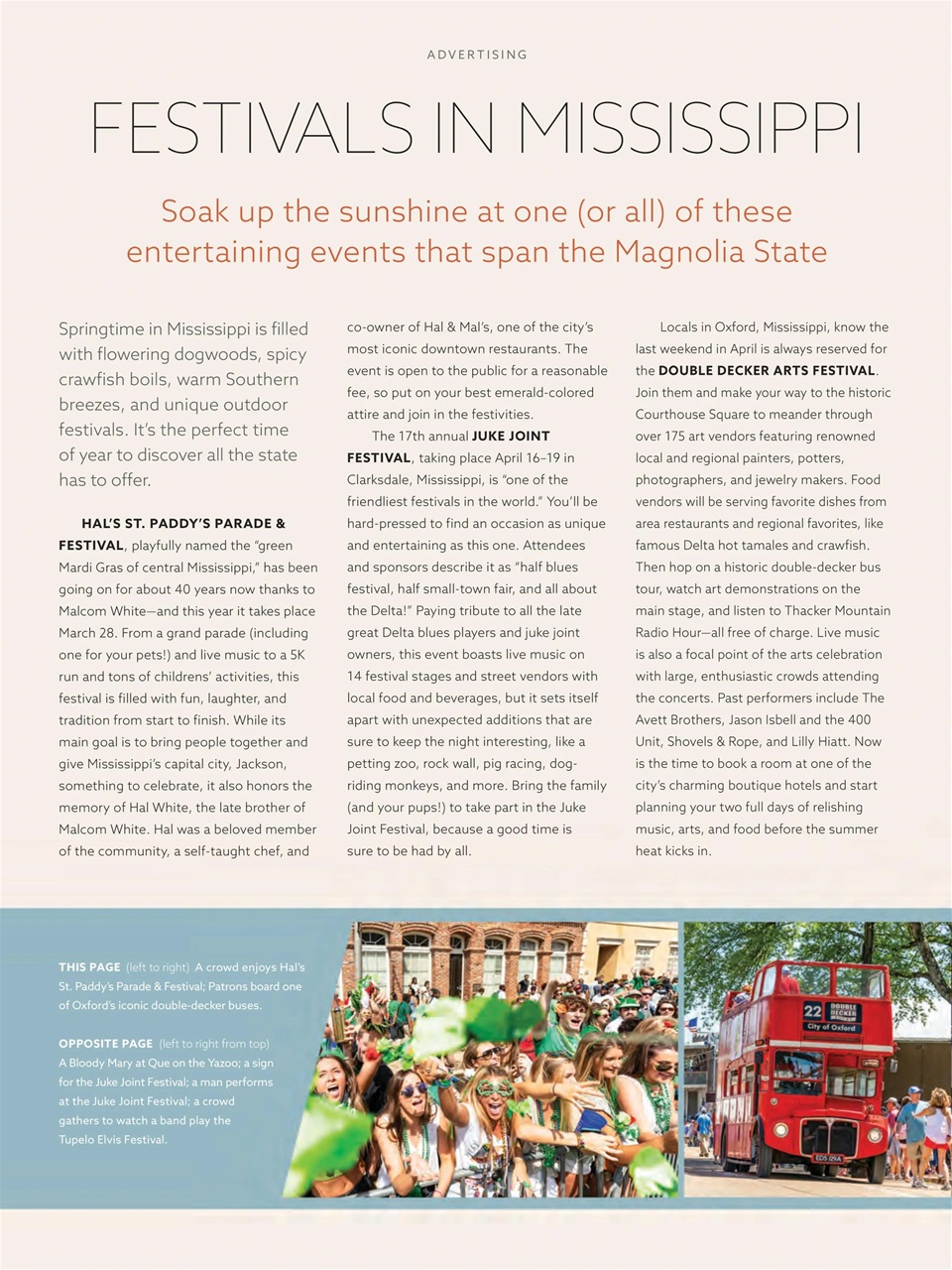 Taste of the South Preview Pages