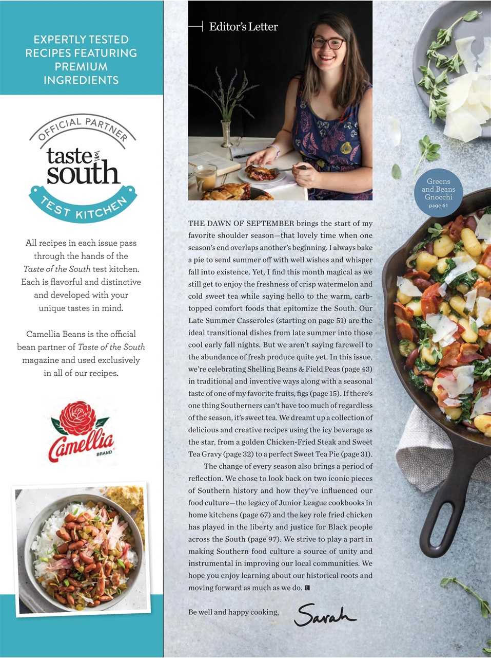 Taste of the South Preview Pages