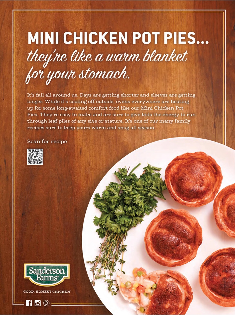 Taste of the South Preview Pages