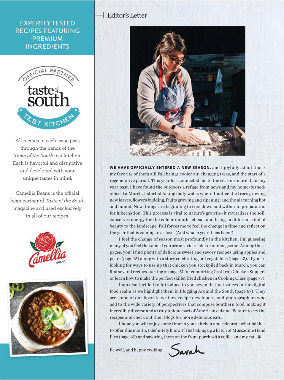 Taste of the South Preview Pages