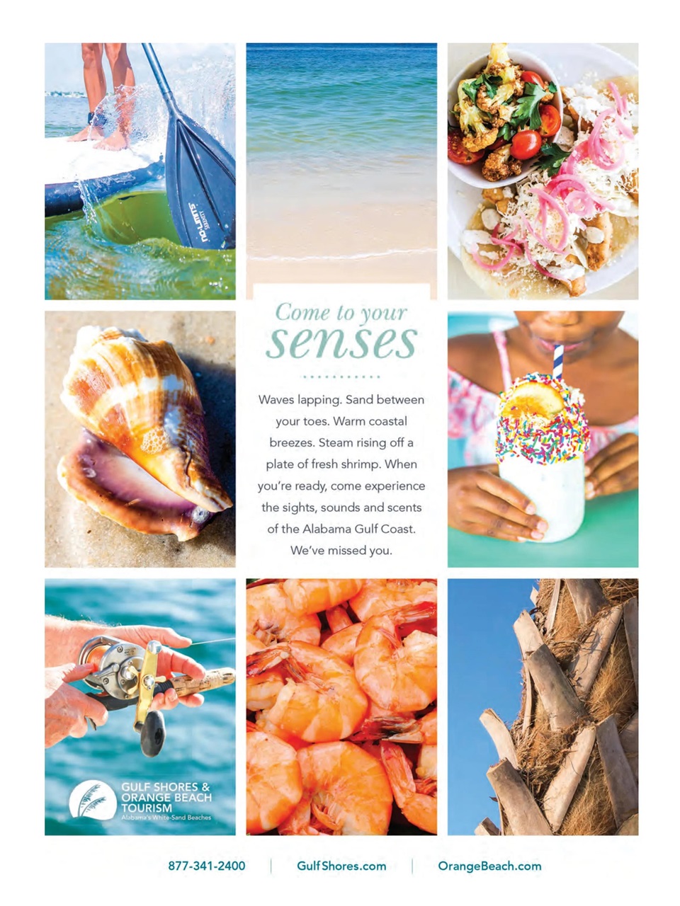 Taste of the South Preview Pages