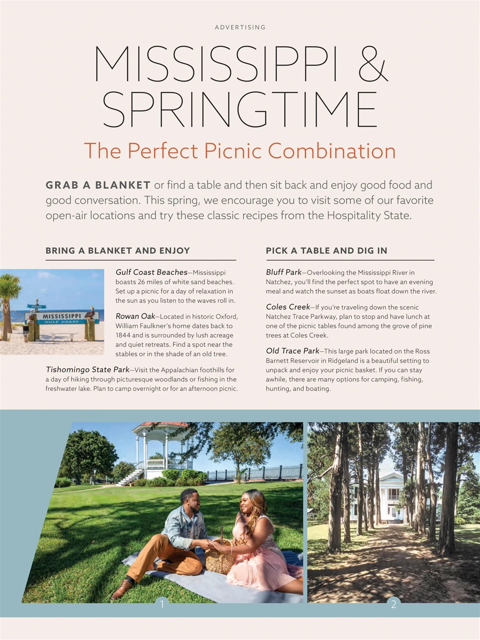 Taste of the South Preview Pages