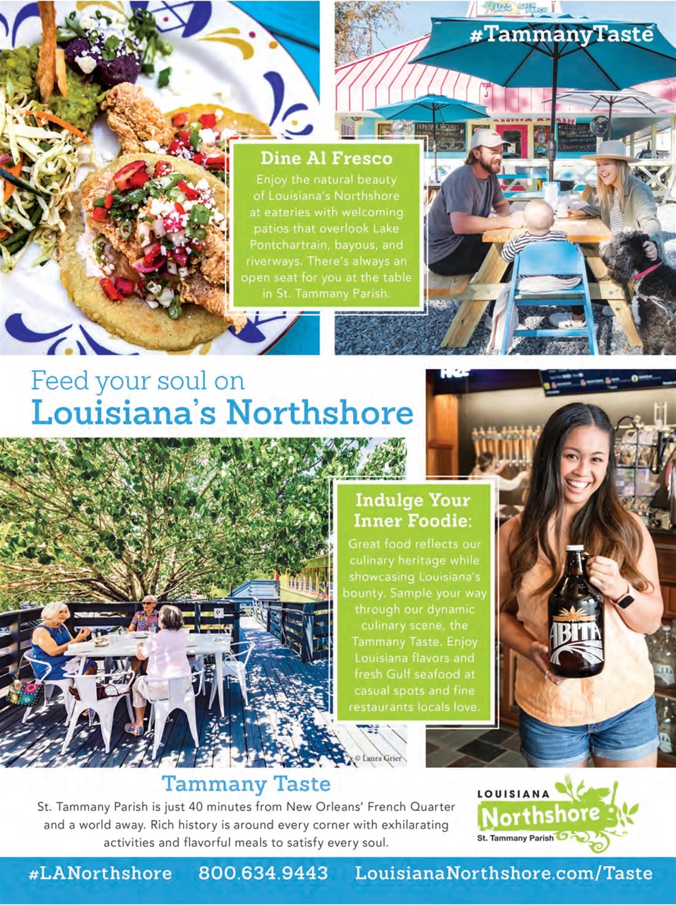 Taste of the South Preview Pages