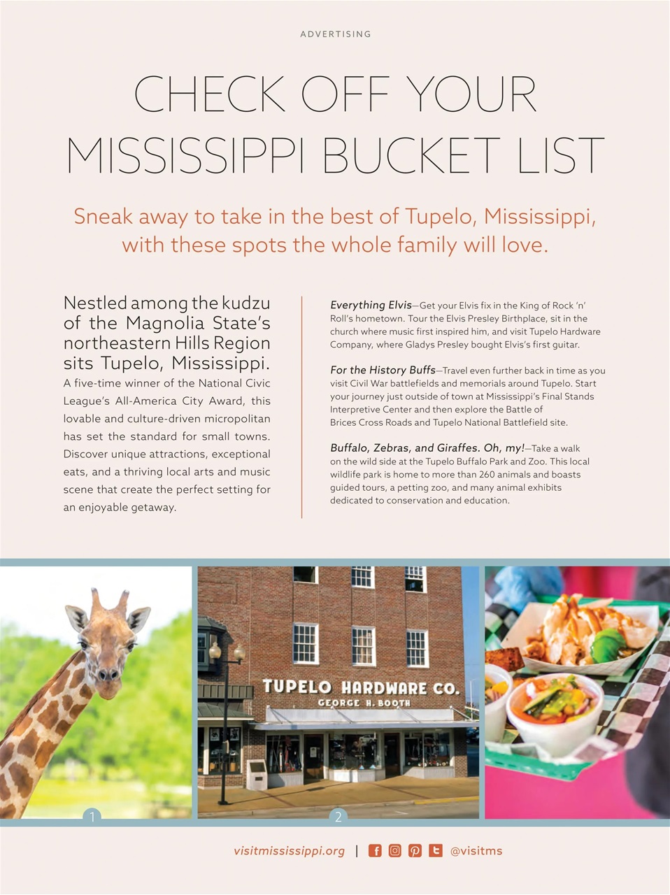 Taste of the South Preview Pages