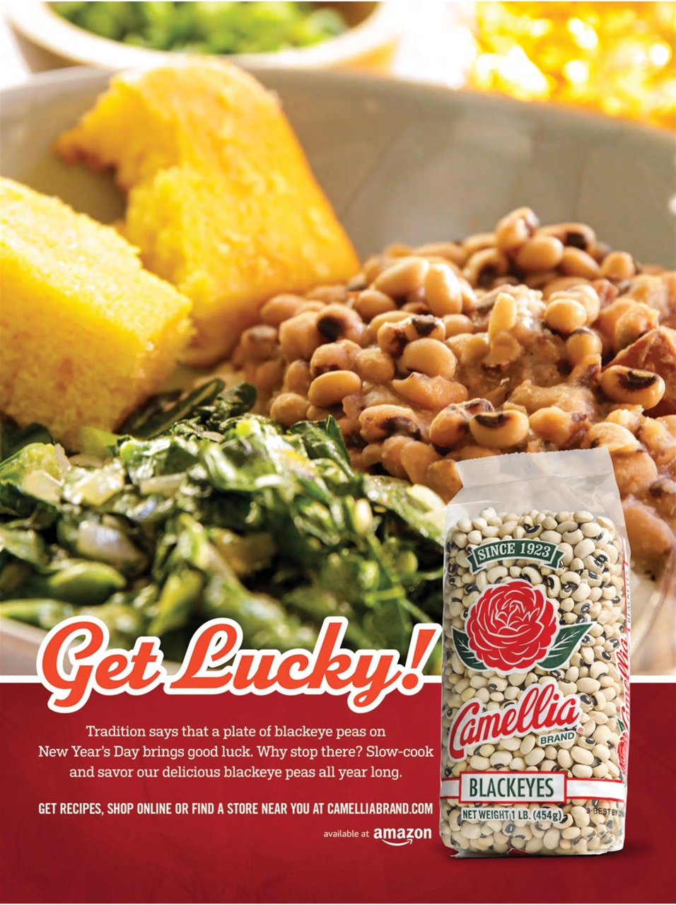 Taste of the South Preview Pages