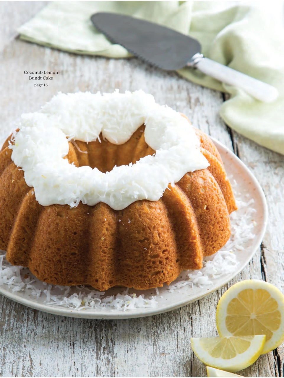 Taste of the South Preview Pages