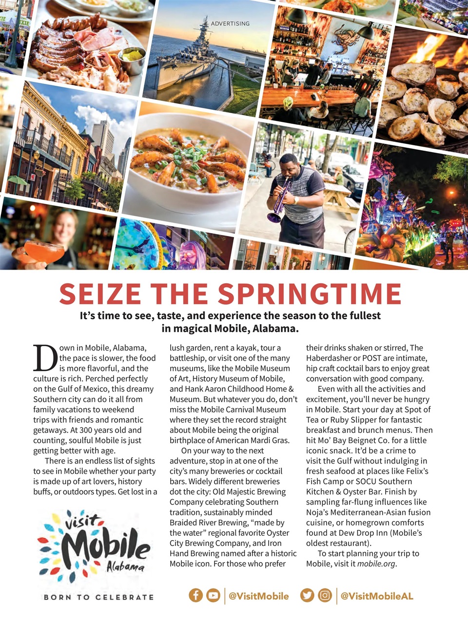 Taste of the South Preview Pages