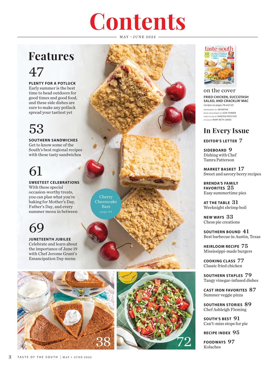 Taste of the South Preview Pages