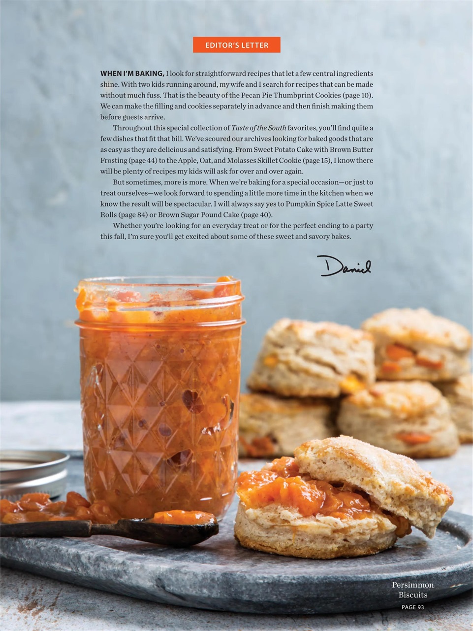 Taste of the South Preview Pages