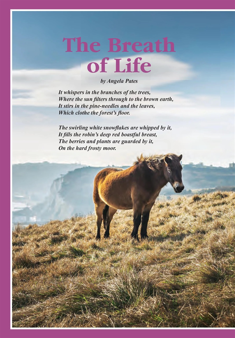 Evergreen Preview Pages