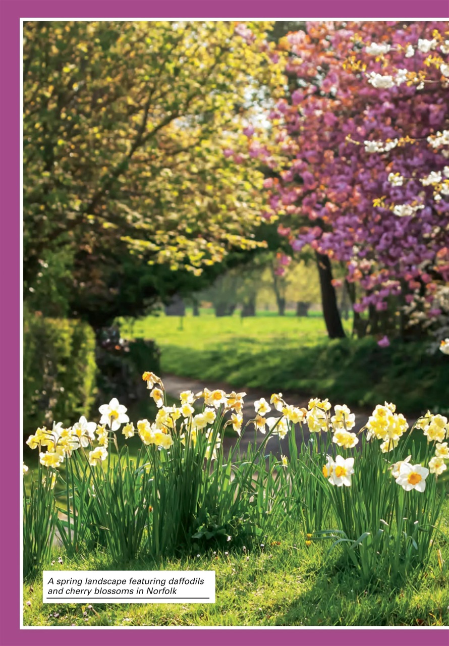 Evergreen Preview Pages