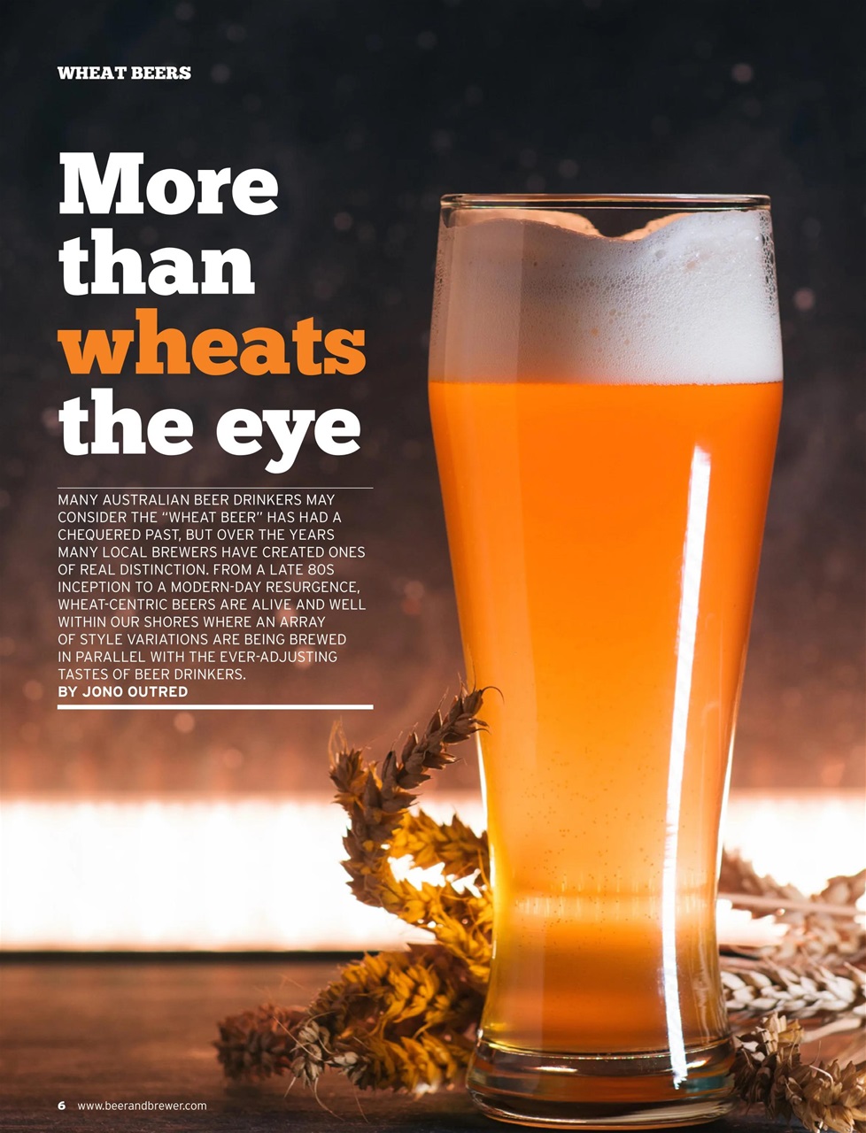 Beer and Brewer Preview Pages