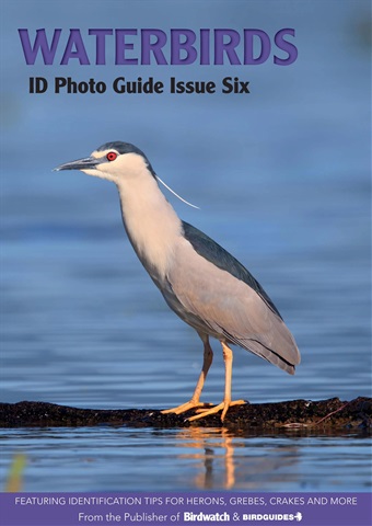 Waterbirds issue Waterbirds