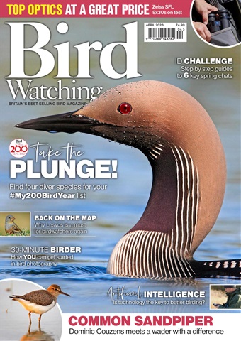 Bird Watching issue Apr-23