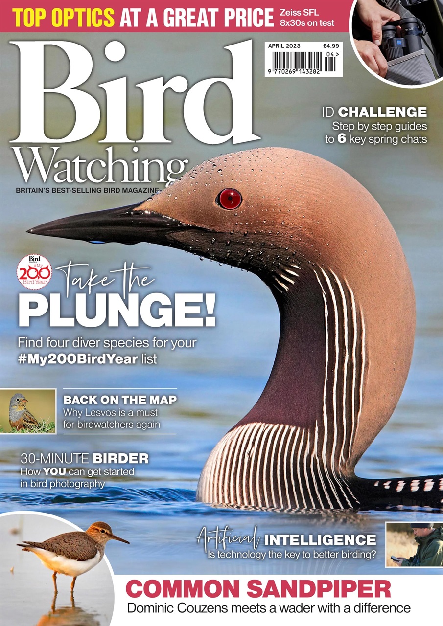 Bird Watching Preview Pages