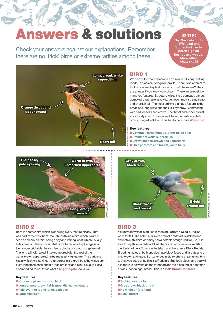 Bird Watching Preview Pages