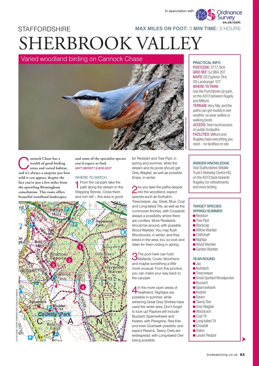 Bird Watching Preview Pages