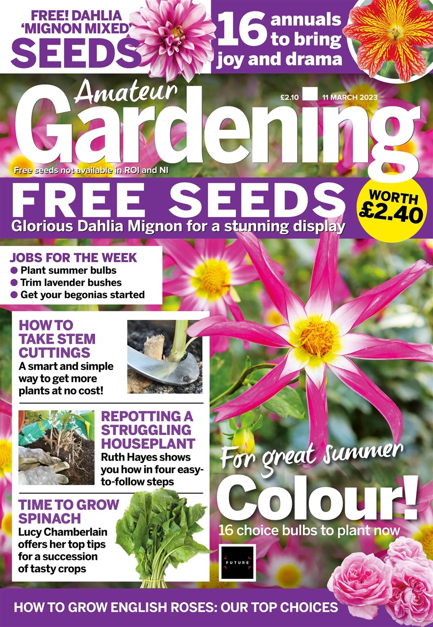 Amateur Gardening Preview Pages