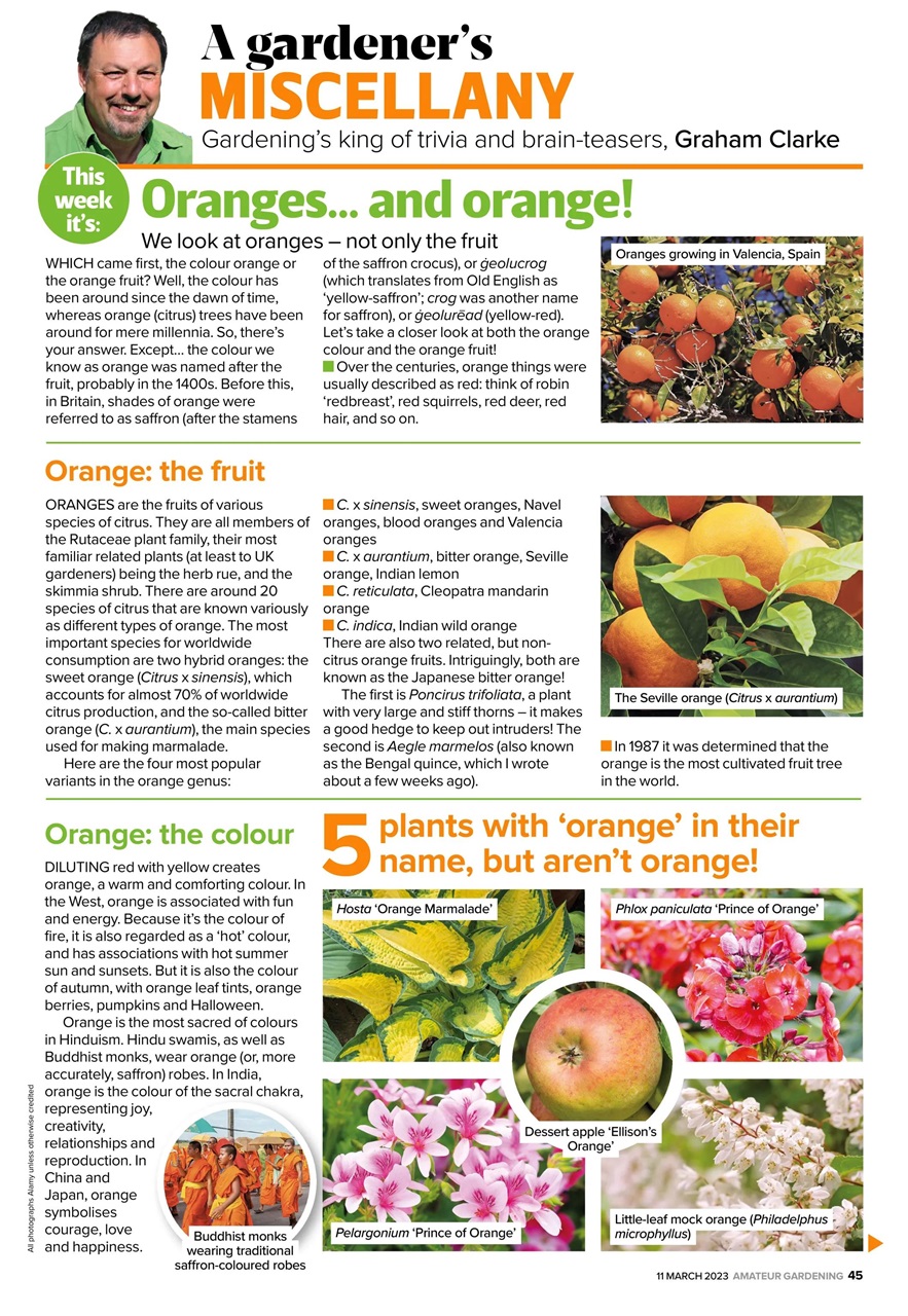 Amateur Gardening Preview Pages