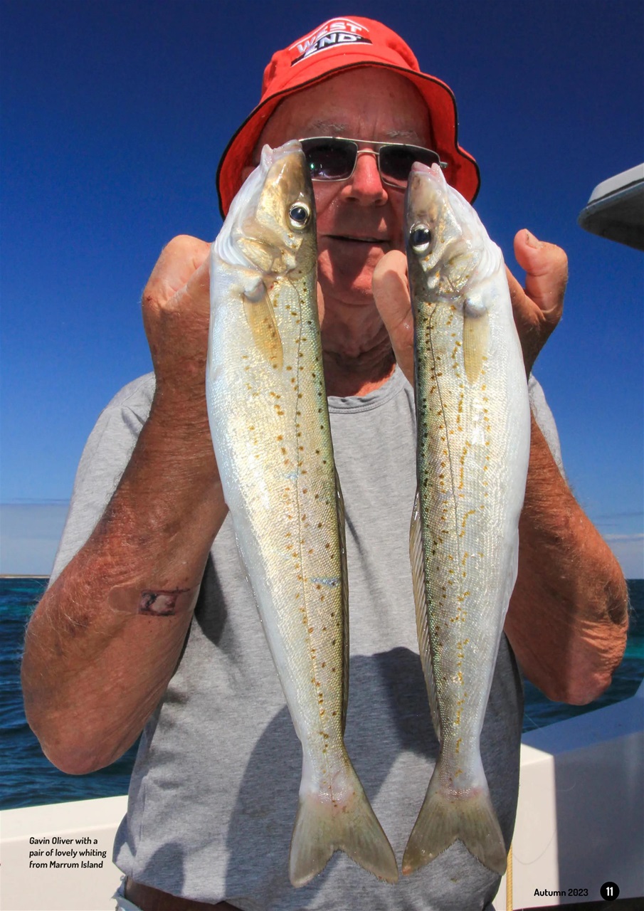 South Australian Angler Preview Pages