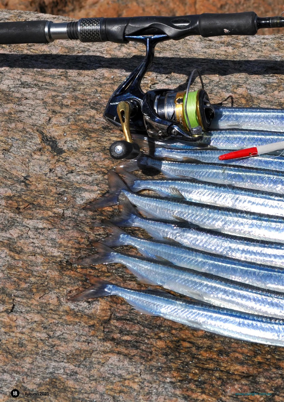 South Australian Angler Preview Pages