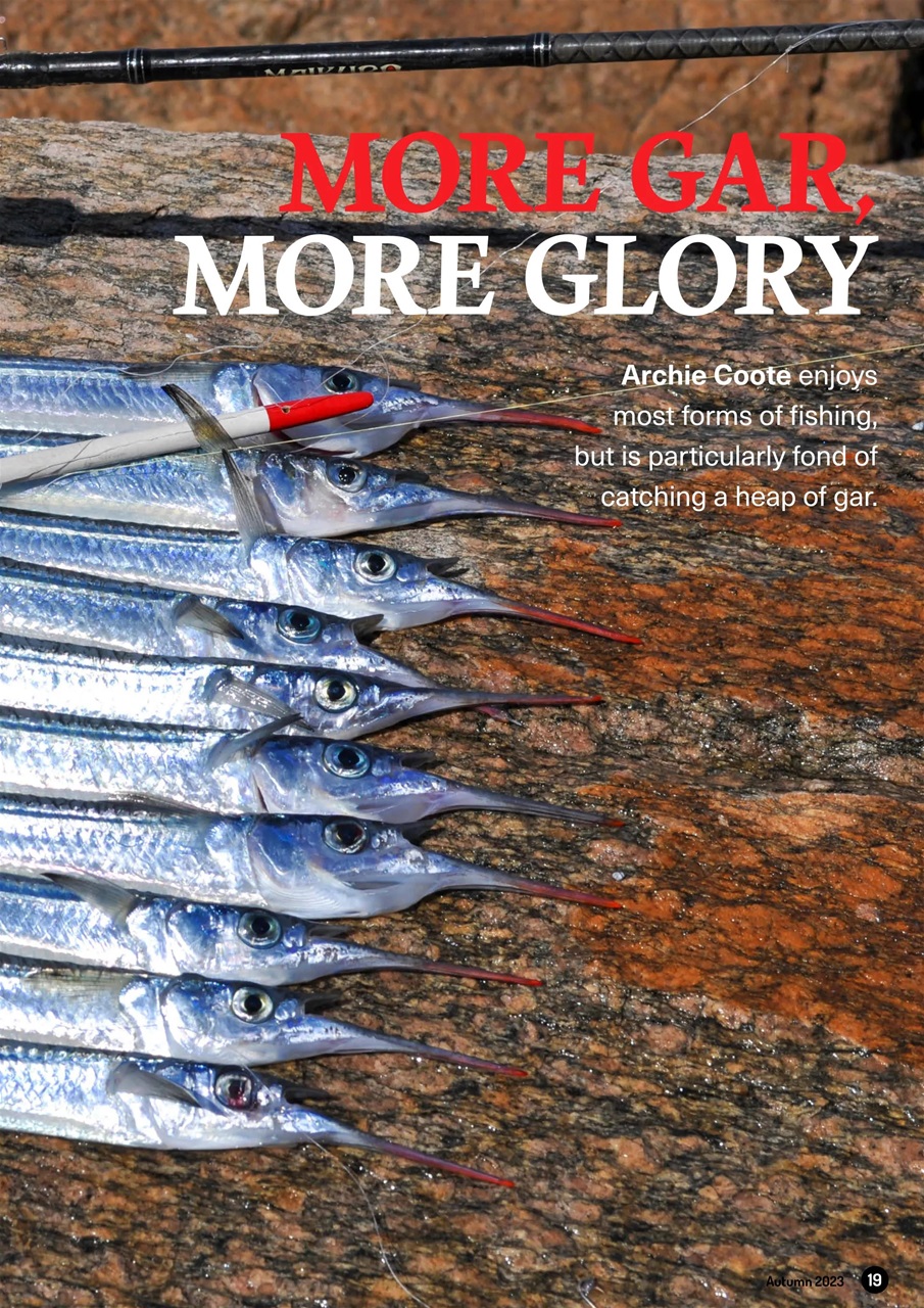 South Australian Angler Preview Pages