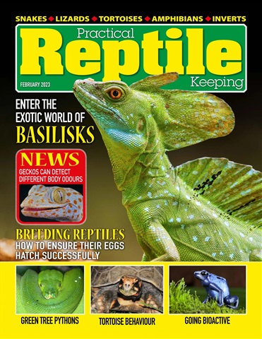 Practical Reptile Keeping issue February 2023