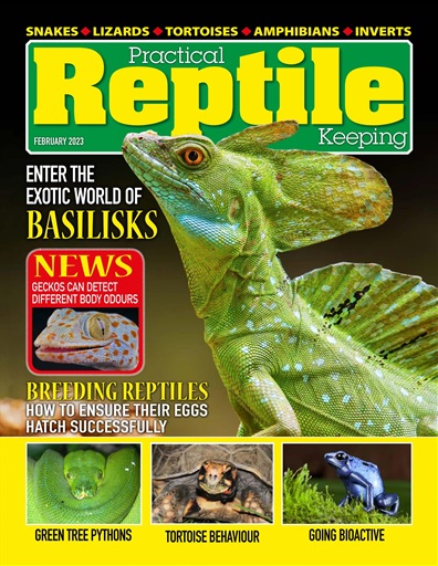 Practical Reptile Keeping issue 