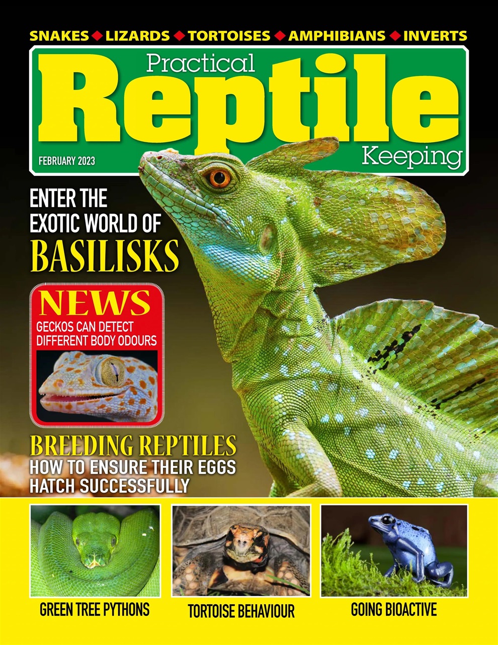Practical Reptile Keeping Preview Pages