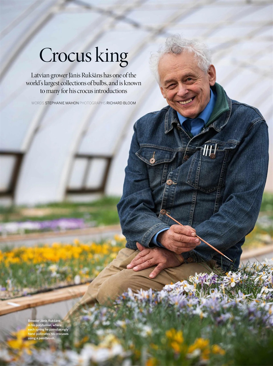 Gardens Illustrated Preview Pages