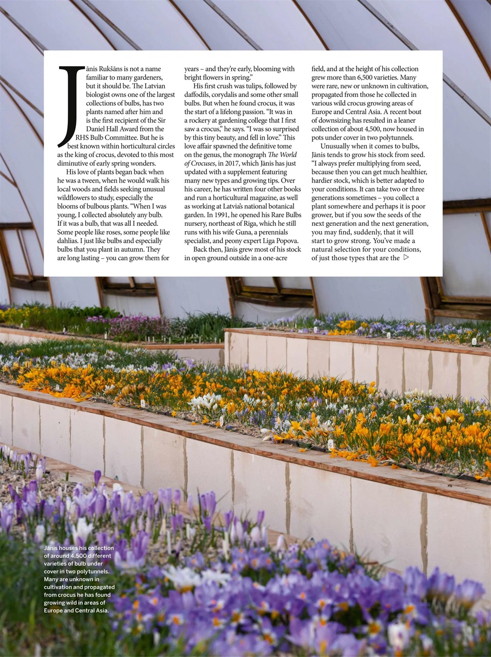 Gardens Illustrated Preview Pages