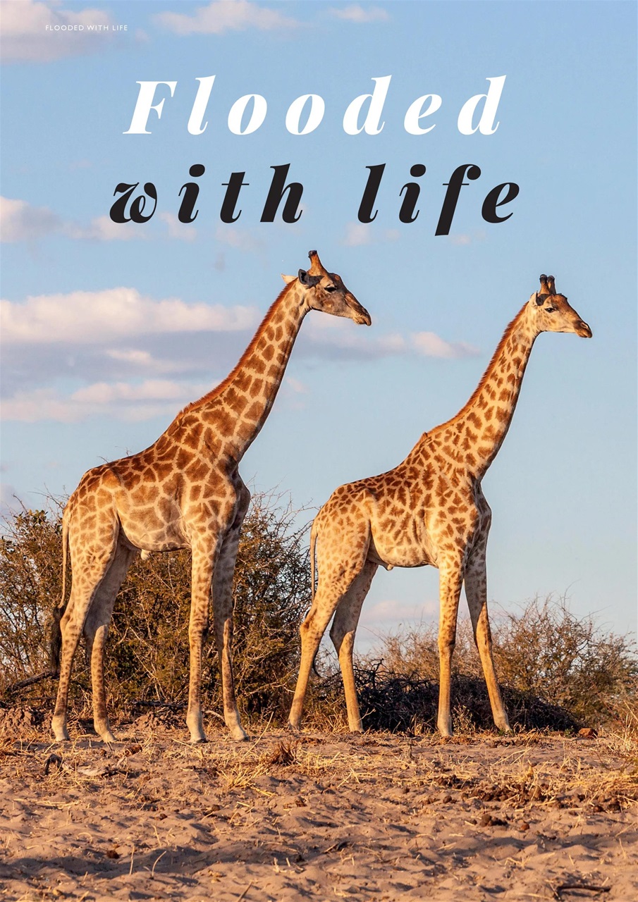 JRNY Travel Magazine Preview Pages