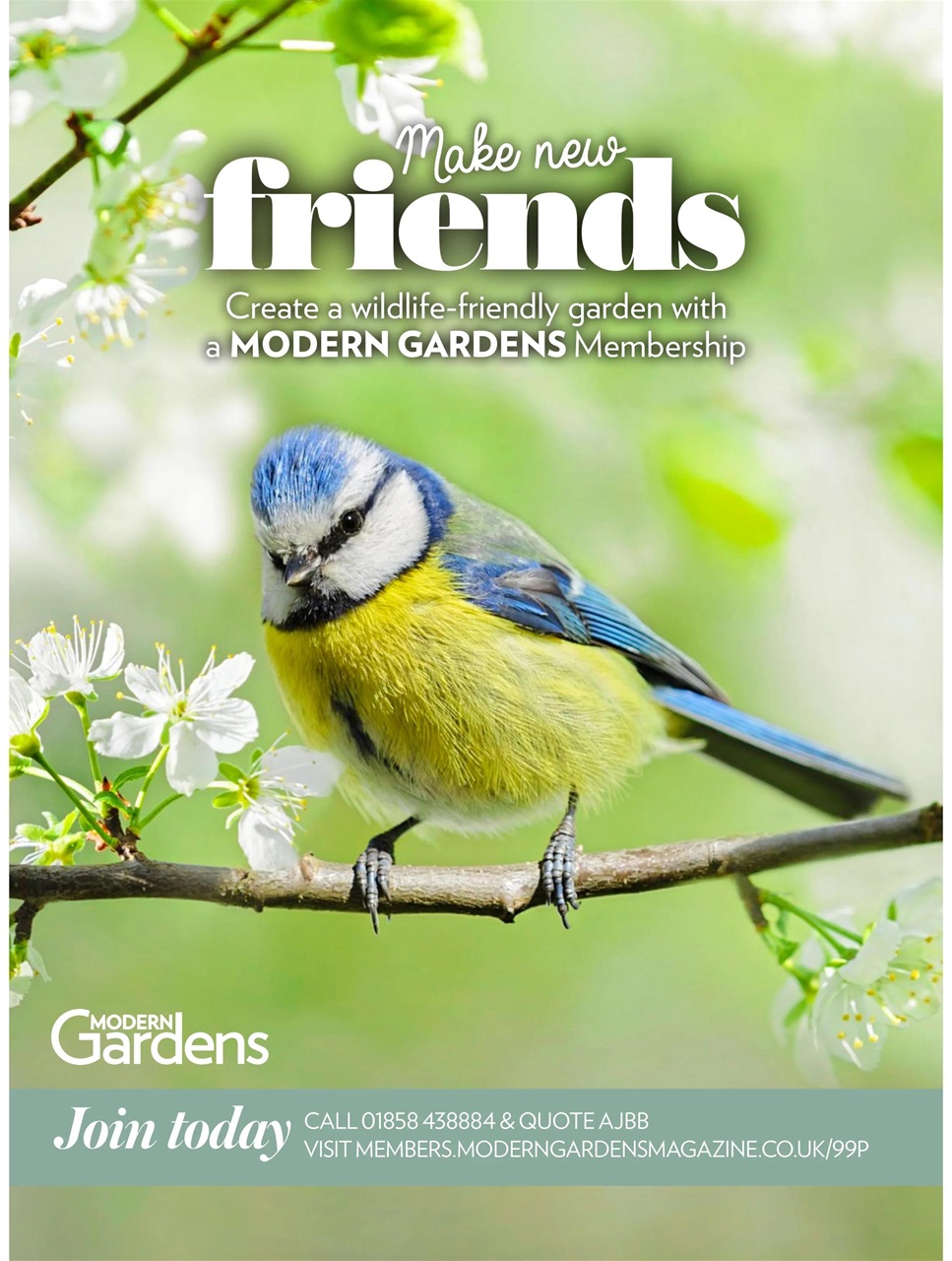 Modern Gardens Preview Pages