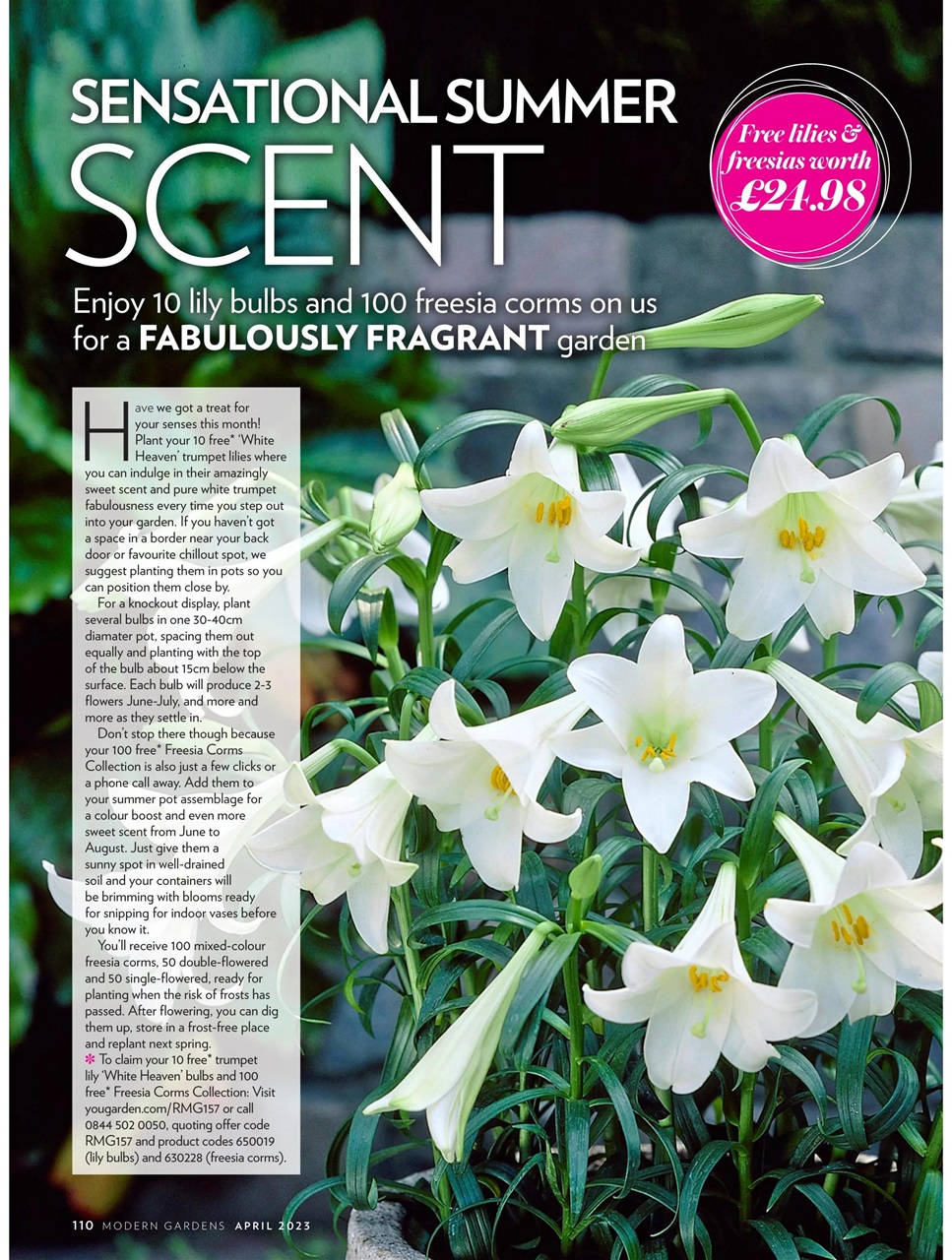 Modern Gardens Preview Pages
