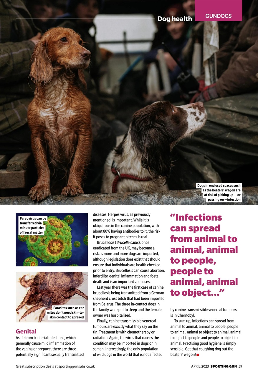 Sporting Gun Preview Pages