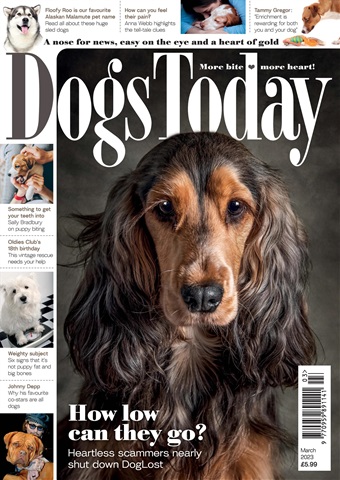 Dogs Today Magazine issue March 2023