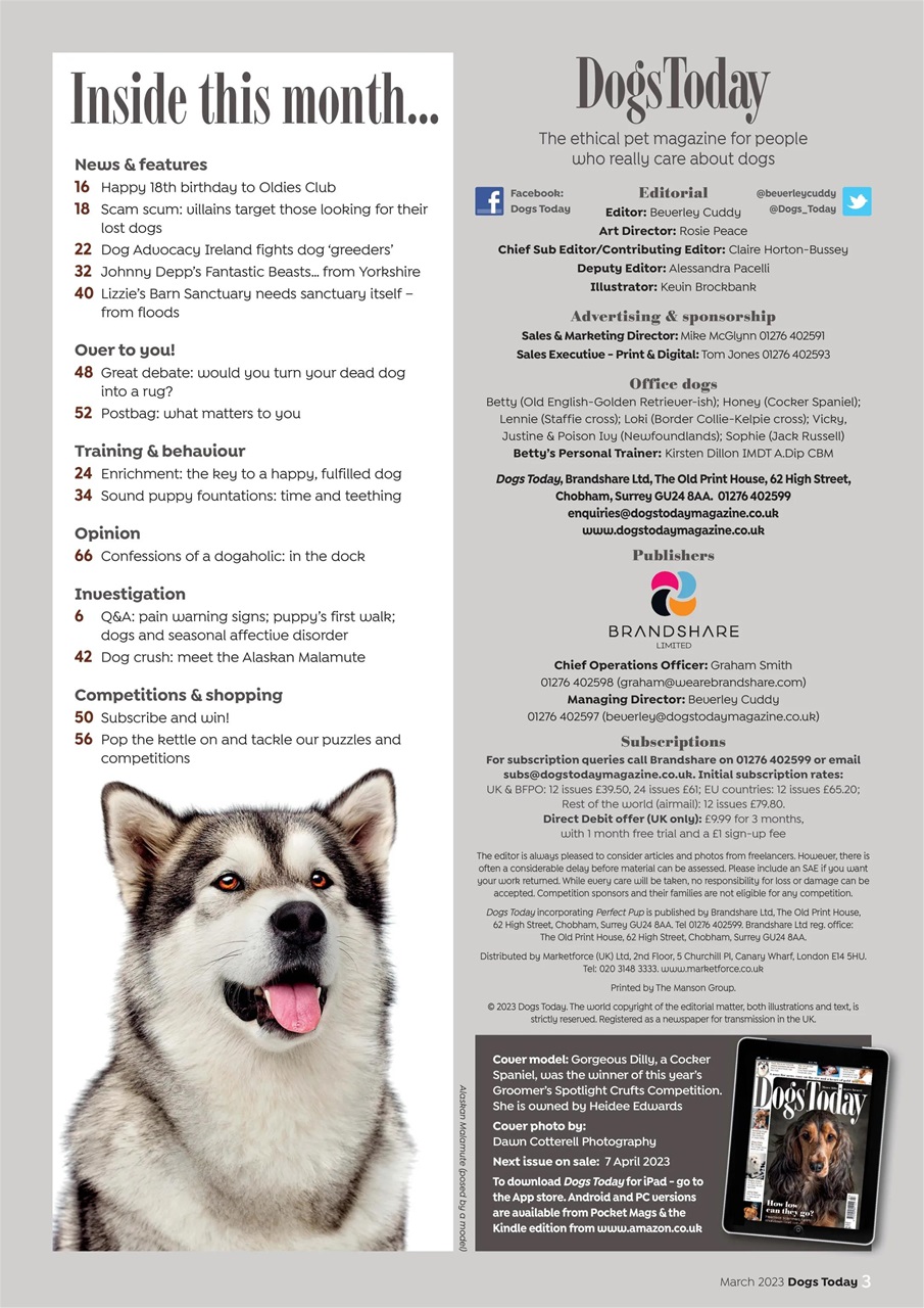 Dogs Today Magazine Preview Pages