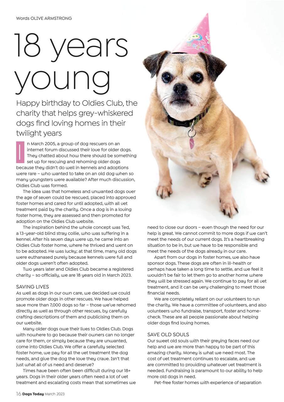 Dogs Today Magazine Preview Pages