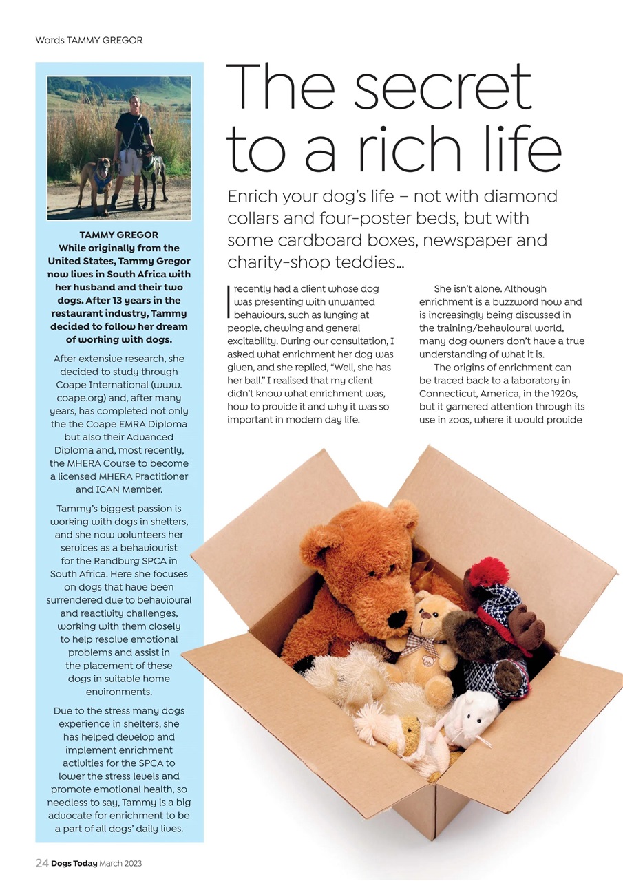 Dogs Today Magazine Preview Pages