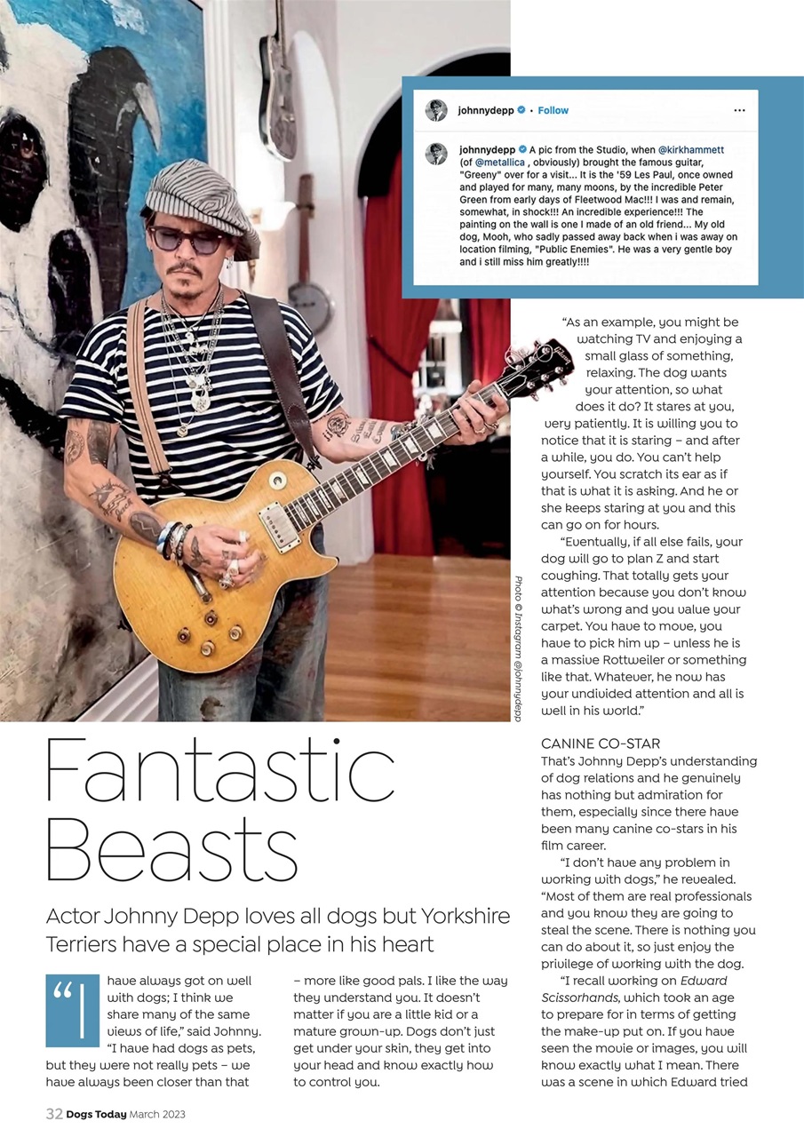 Dogs Today Magazine Preview Pages
