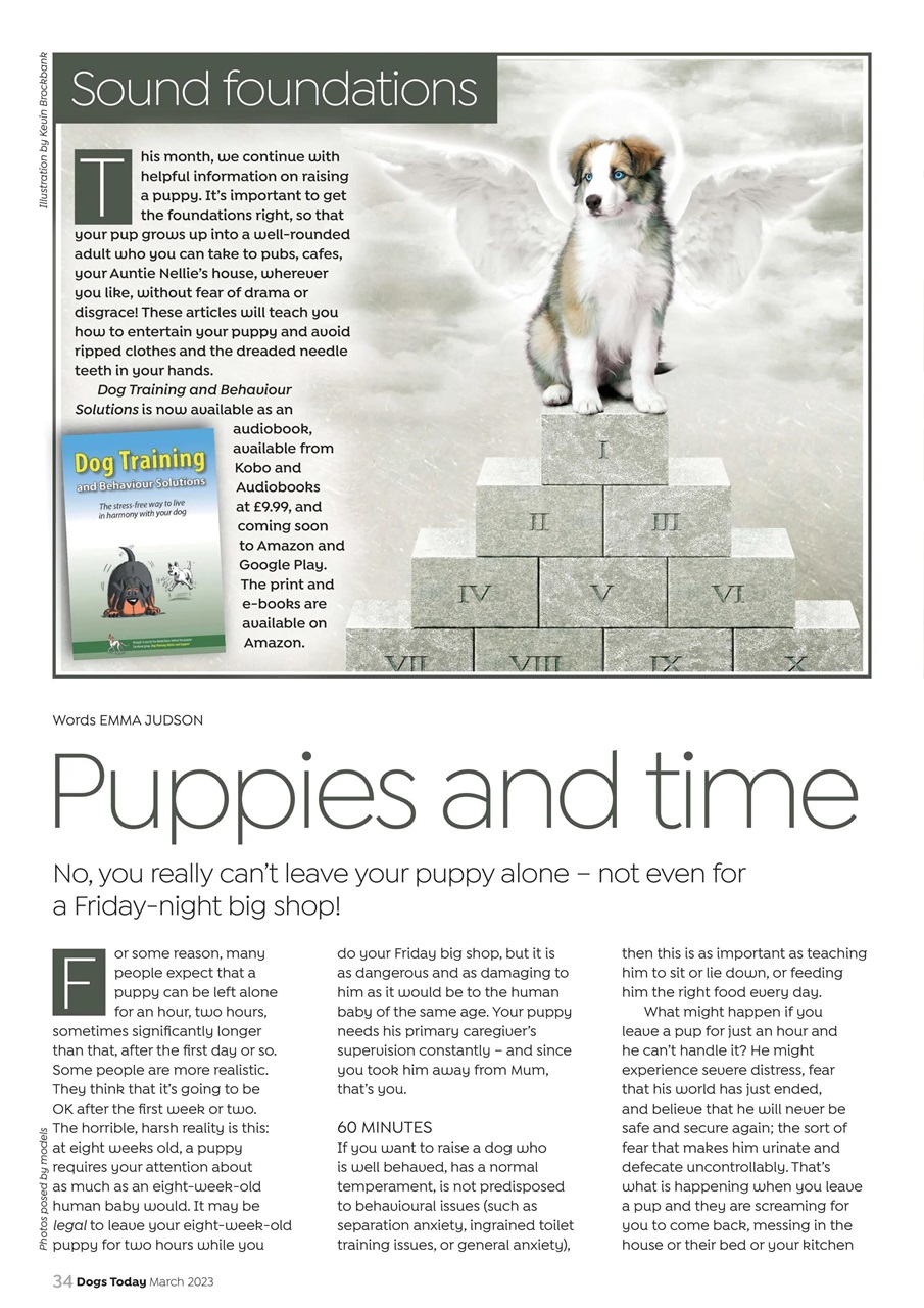 Dogs Today Magazine Preview Pages