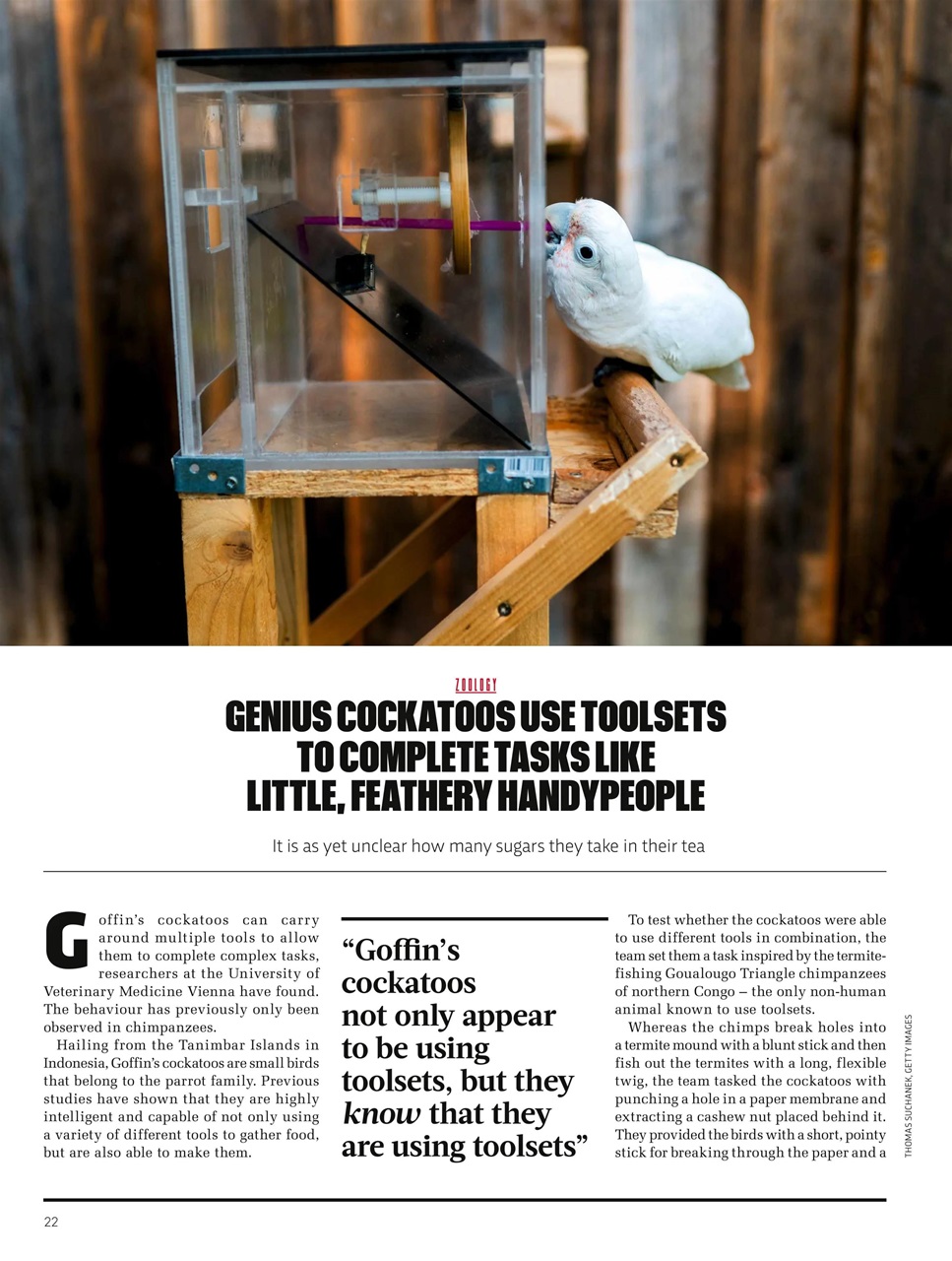 BBC Science Focus Magazine Preview Pages