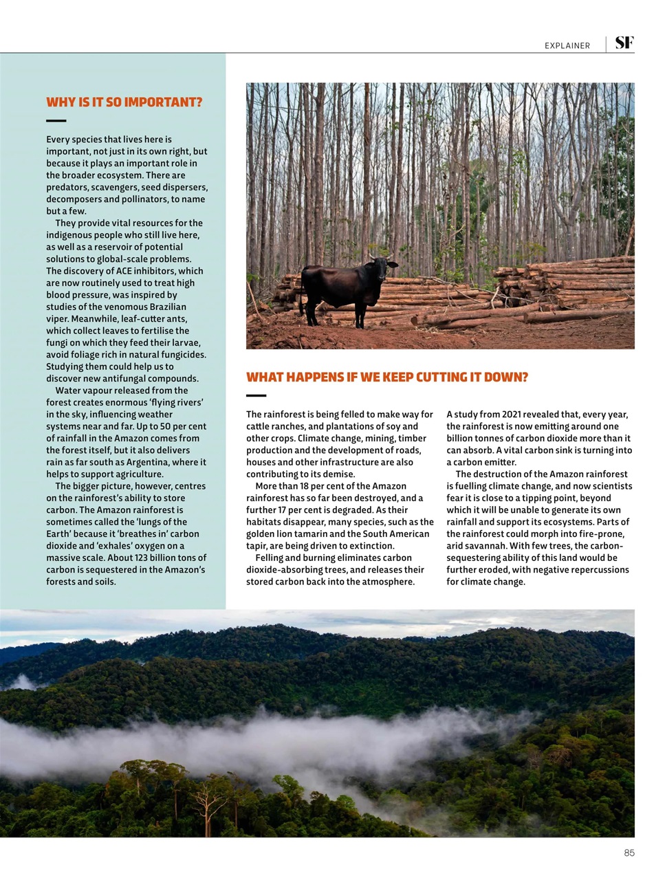 BBC Science Focus Magazine Preview Pages