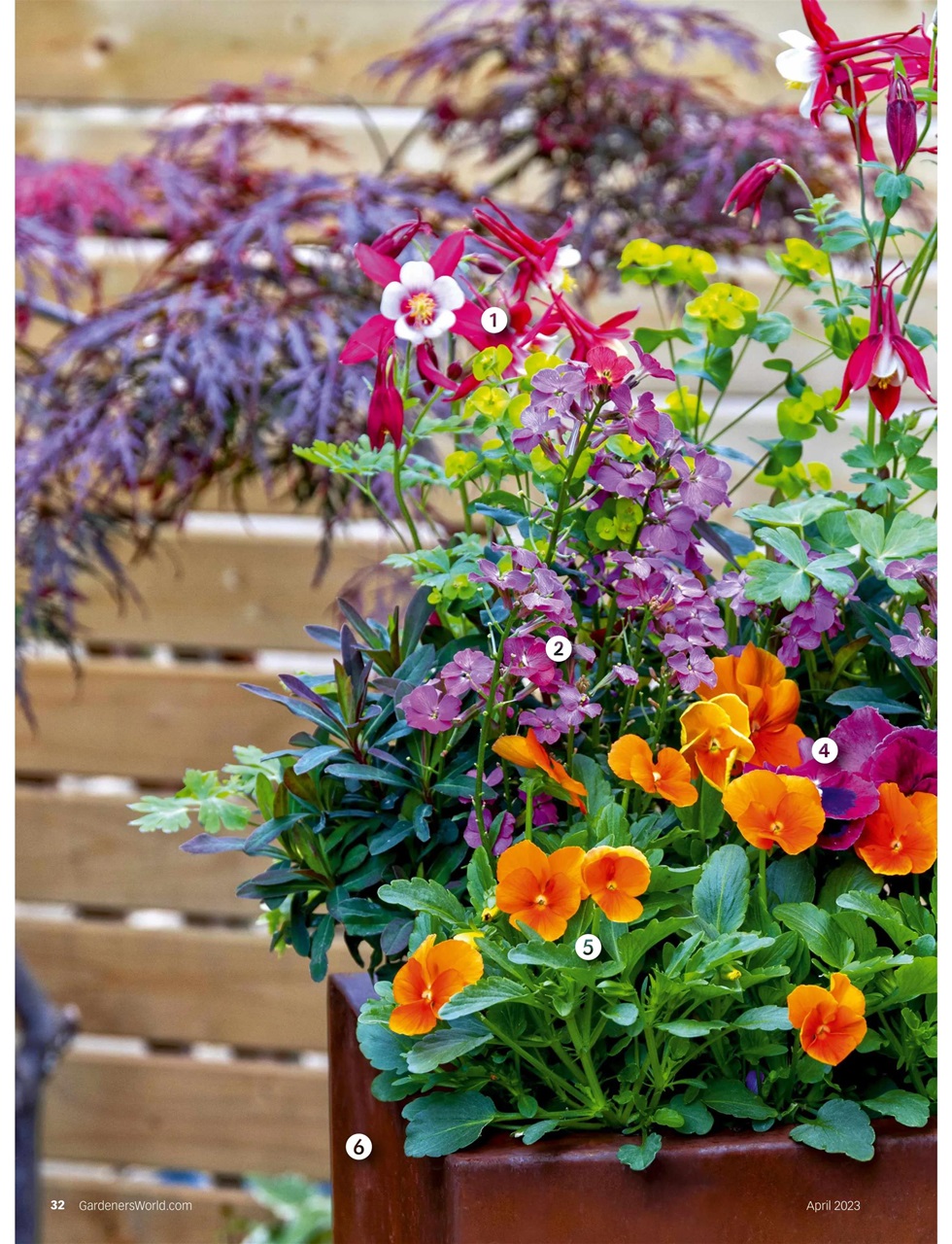 BBC Gardeners’ World Magazine Preview Pages