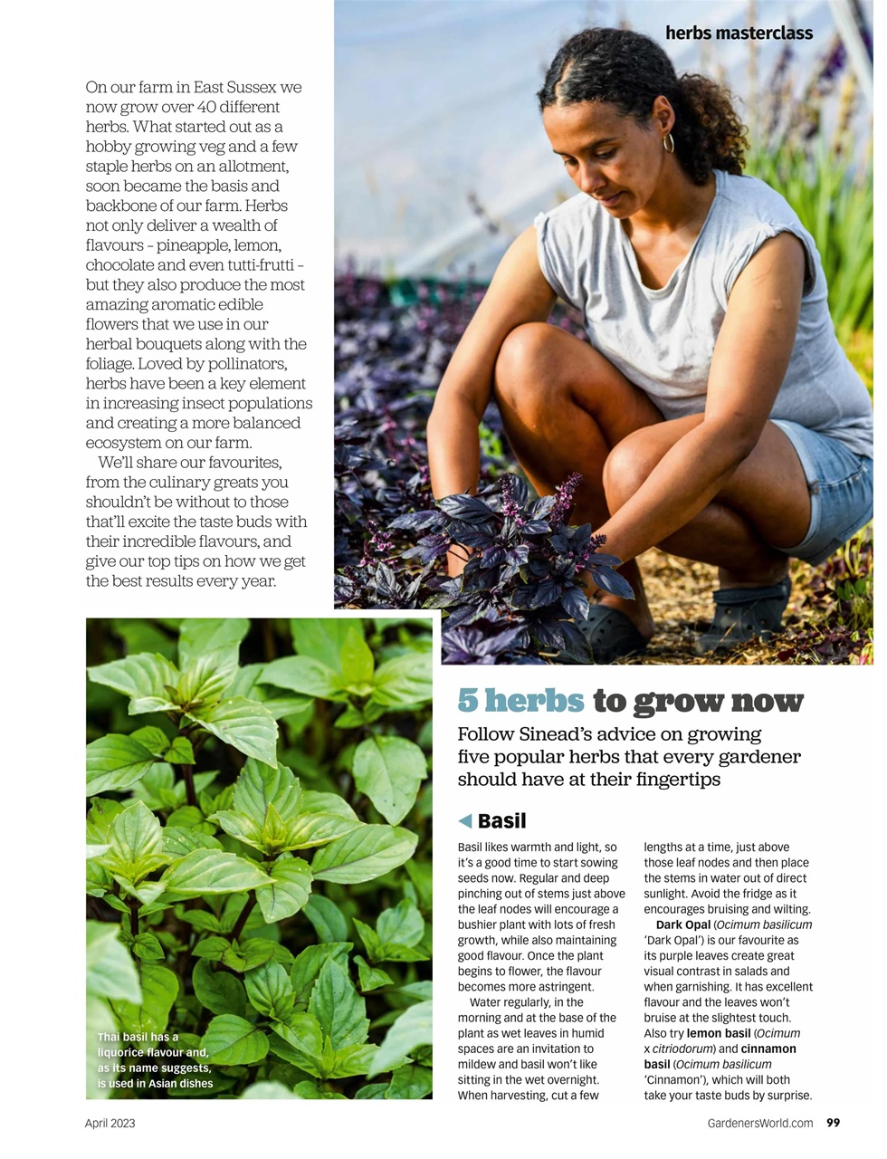 BBC Gardeners’ World Magazine Preview Pages