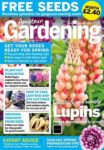 Amateur Gardening issue 18th March 2023