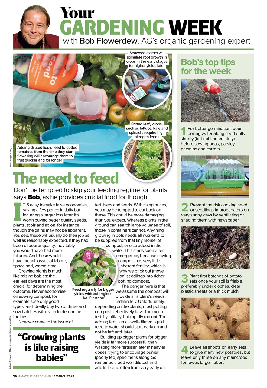 Amateur Gardening Preview Pages