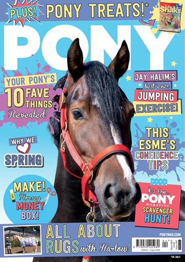 Pony Magazine issue 