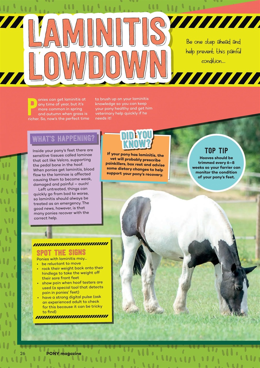 Pony Magazine Preview Pages